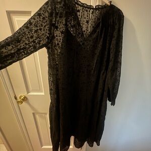 Sheer Black Maxi Dress with slip